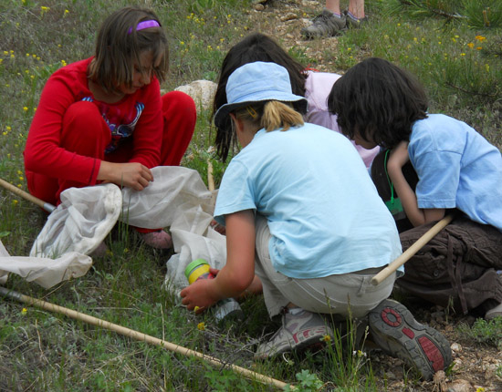 ...or stopping to examine the contents of someone's butterfly net.